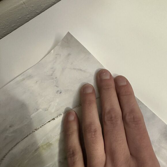 Daytona Beach Bike Week 2022 Event Poster Harley Davidson Motorcycle 81st Annual - Picture 8 of 9